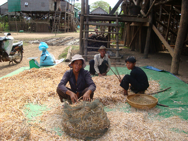 Kampong Khleang Man At Work