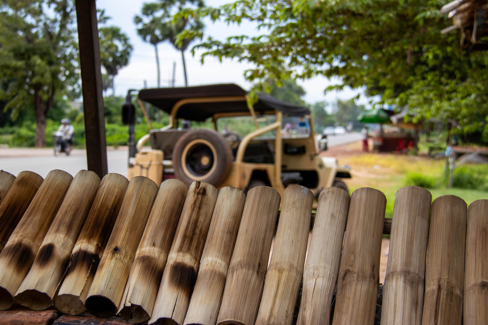 Kampong Khleang Private Jeep Tour